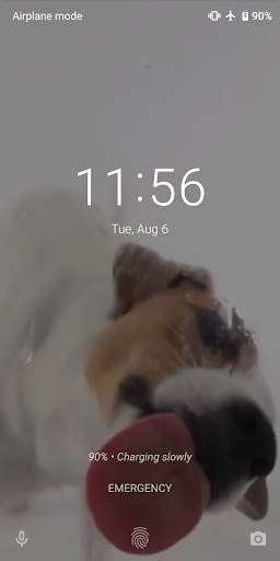 Dog Licking Live Wallpaper screenshot 3