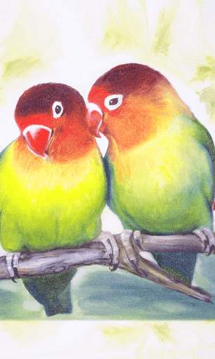 Birds Wallpapers New screenshot 10