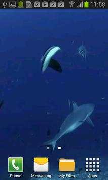 Shark Video Wallpaper Free screenshot 3
