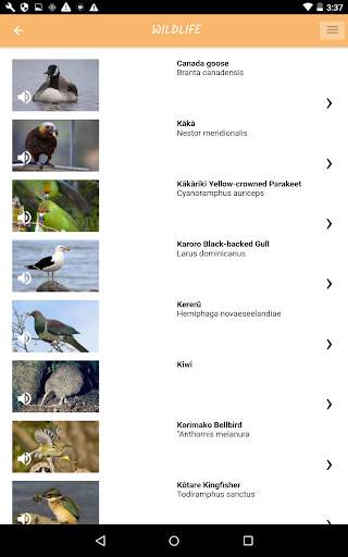 Abel Tasman screenshot 8
