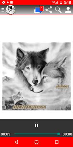 Lobo Amanecer MX screenshot 3