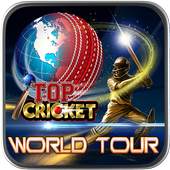 Top Cricket World Tour 1.1