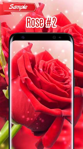 Rose Wallpaper screenshot 3