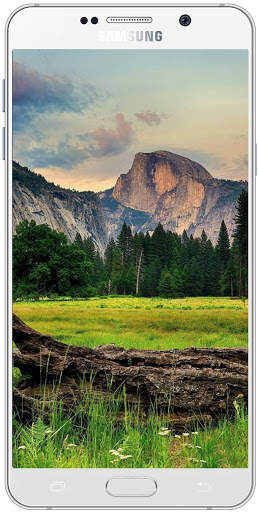 Beautiful Wallpaper HD screenshot 10