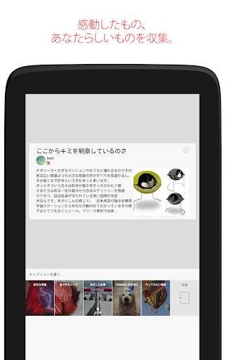 Flipboard screenshot 19