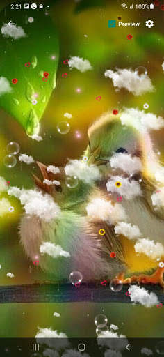 Bird Live Wallpaper screenshot 3