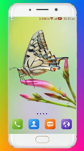 Butterfly Wallpaper HD screenshot 5