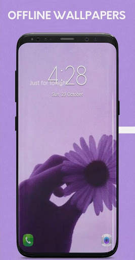 Purple Wallpapers 2 تصوير الشاشة