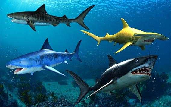 Open Shark Hunting स्क्रीनशॉट 9