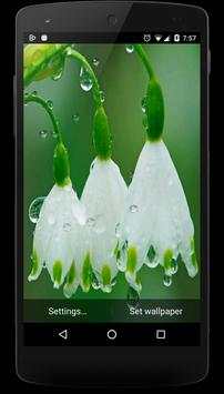 Rain Live Wallpaper 2016 screenshot 11