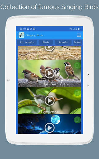 Singing Birds स्क्रीनशॉट 12