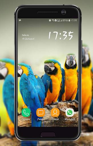 Bird Wallpaper screenshot 2
