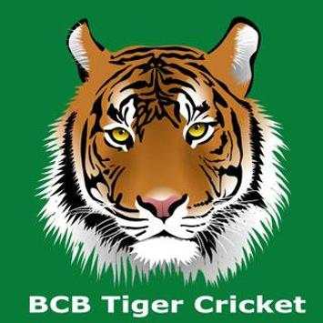 BCB Tiger Cricket screenshot 30