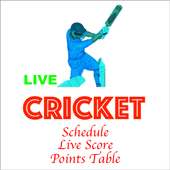 Cricket Schedule 2021 logo