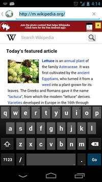 Orweb screenshot 3