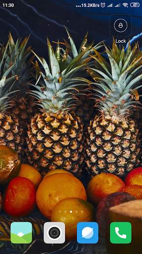 Pineapple Wallpaper screenshot 14