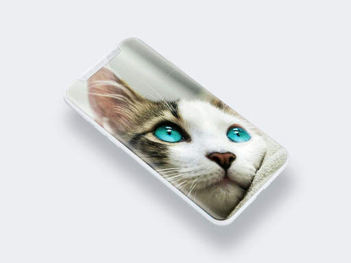 Cute Cat Wallpaper screenshot 6