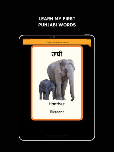 Learn Punjabi screenshot 15