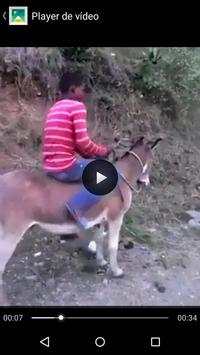Funny Videos screenshot 2