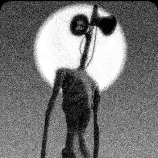 Siren Head Game: Horror Hospital icon