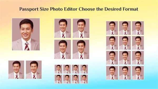 Passport & Id Photo Resizer And Crop screenshot 1
