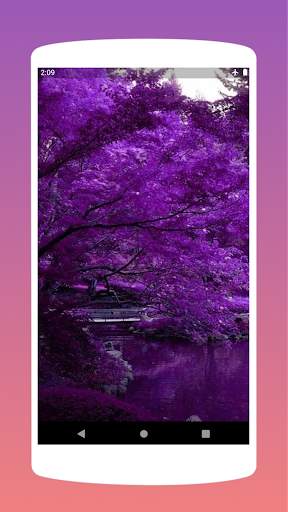 Purple Violet Wallpaper Offline - Best Collection screenshot 3