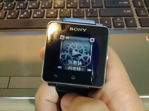 Music Extension - SmartWatch 2 screenshot 3