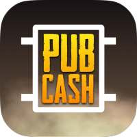 Pubcash