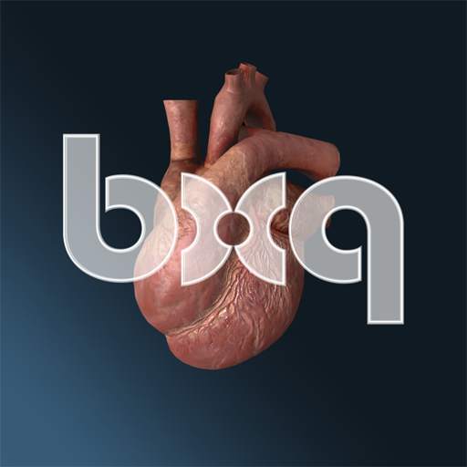 bodyxq heart 2.3