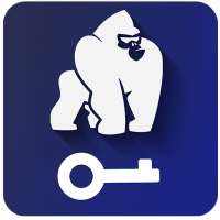 Kong Vpn