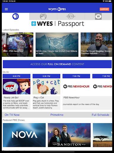 WYES-TV screenshot 7
