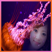 Sea Creature Photo Frames icon