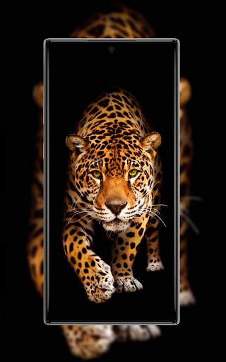 AMOLED Wallpapers & GIFs screenshot 7