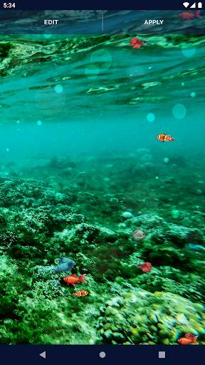 Ocean Fish Live Wallpaper 4K screenshot 7