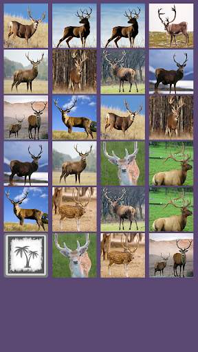 Deer Memory Game screenshot 3