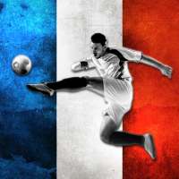 FRENCH FOOTBALL LEAGUE icon
