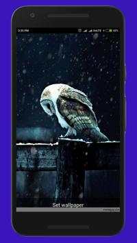 Snow LiveWallpaper 3 تصوير الشاشة