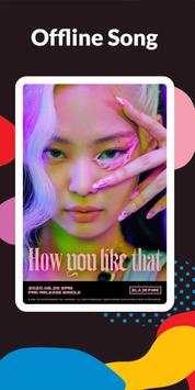 How You Like That - BLACKPINK Song No WiFi Needed screenshot 2