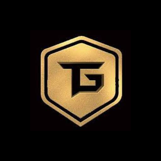 Techno Gamerz 4.3.2