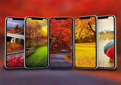 Autumn Wallpaper screenshot 1