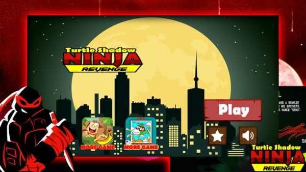 Turtle Ninja Shadow screenshot 1