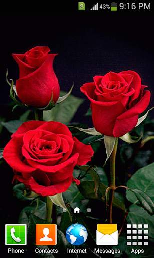 Rose GIF Live Wallpaper 2 تصوير الشاشة