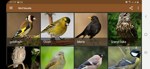 Bird Sounds screenshot 10