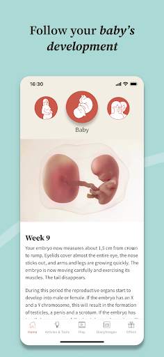 Preglife - Pregnancy Tracker screenshot 2