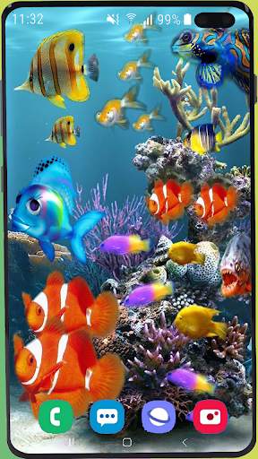 Fish Wallpaper HD screenshot 6