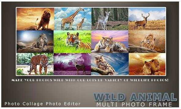 Wild Animal Photo Frame Multi 5 تصوير الشاشة