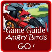 Guide Angry Birds Go 1.3