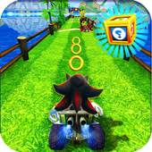 Sonic racing Rush 1.2