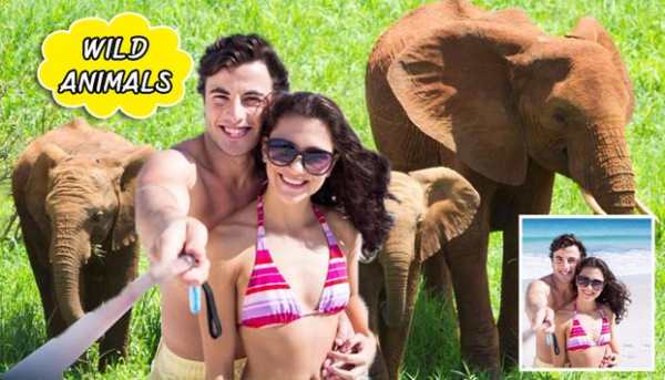 Selfie Wild Animals : Photo Editor 2018 screenshot 2