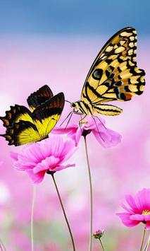 Gesture Lock screen and app lock theme butterfly screenshot 5
